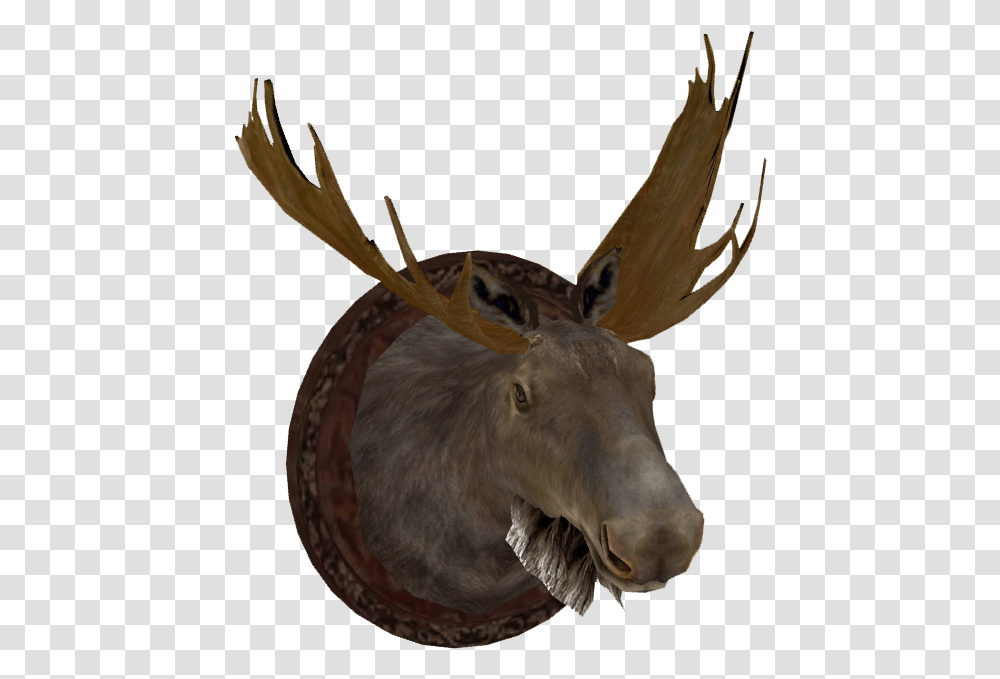 Free Moose Clipart Moose Head, Antelope, Wildlife, Mammal, Animal Transparent Png