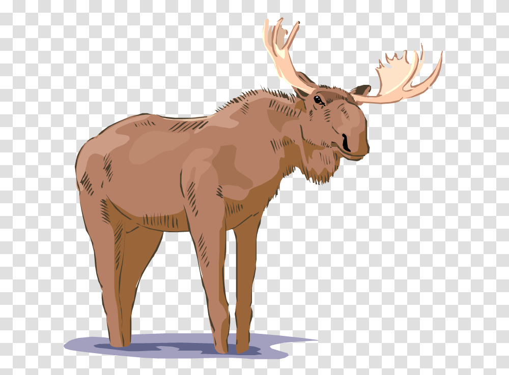 Free Moose Clipart Realistic Moose Clipart, Mammal, Animal, Wildlife, Elephant Transparent Png