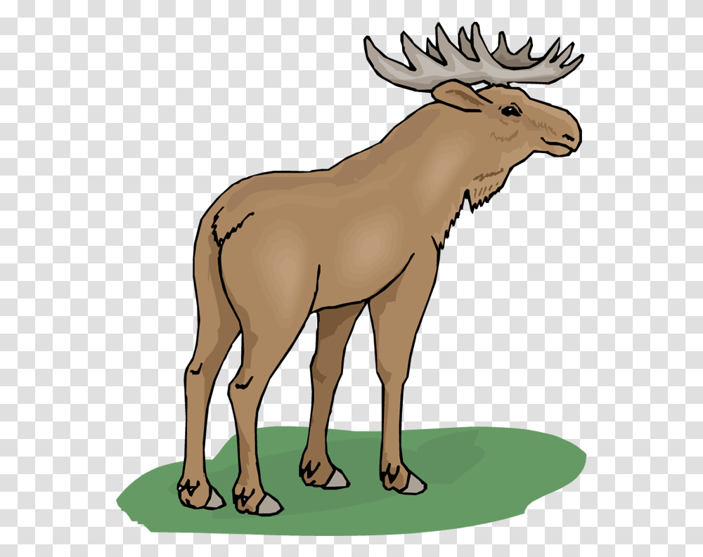 Free Moose Free Download Clipart Clip Art, Wildlife, Animal, Mammal, Horse Transparent Png