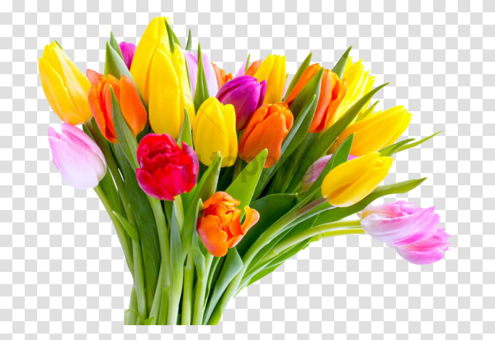 Free Mothers Day Tulip Flower Bouquet Tulip Flower Hd, Plant, Blossom, Flower Arrangement Transparent Png