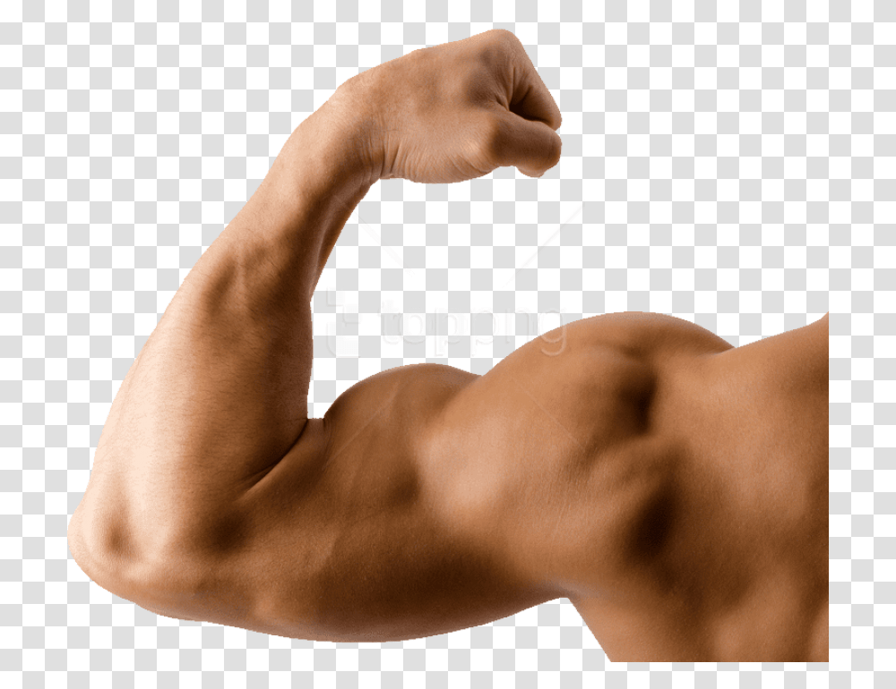 Free Muscle Images, Arm, Person, Human, Shoulder Transparent Png