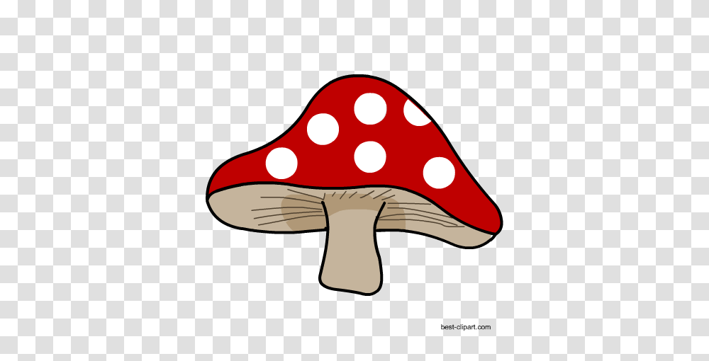 Free Mushroom Clip Art Images And Graphics, Plant, Agaric, Fungus, Shark Transparent Png