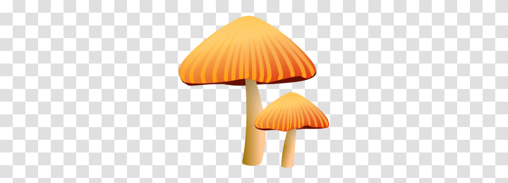 Free Mushroom Vector, Plant, Agaric, Fungus, Amanita Transparent Png