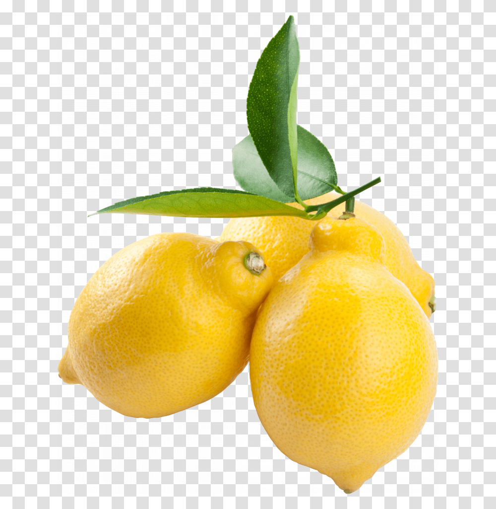 Free Of Lemon Icon Lemon Background Fruit, Citrus Fruit, Plant, Food, Orange Transparent Png