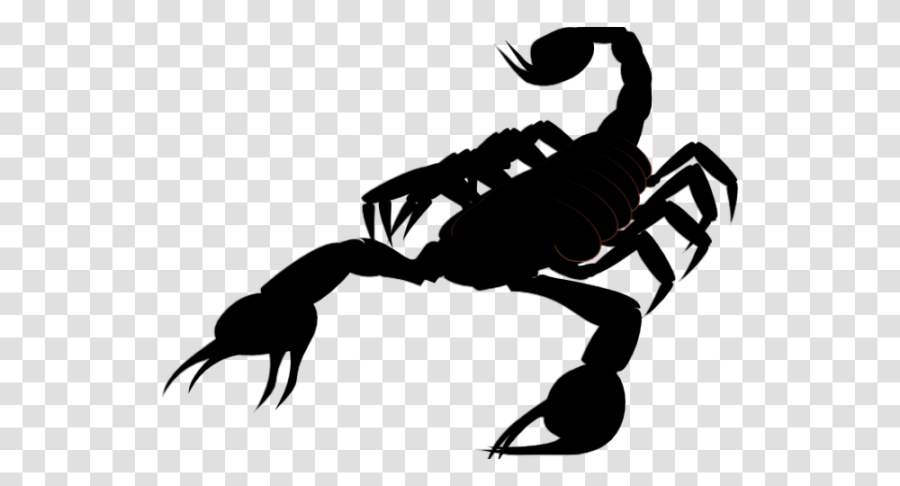 Free On Dumielauxepices Net Scorpion Clip Art, Animal, Invertebrate, Sea Life, Seafood Transparent Png