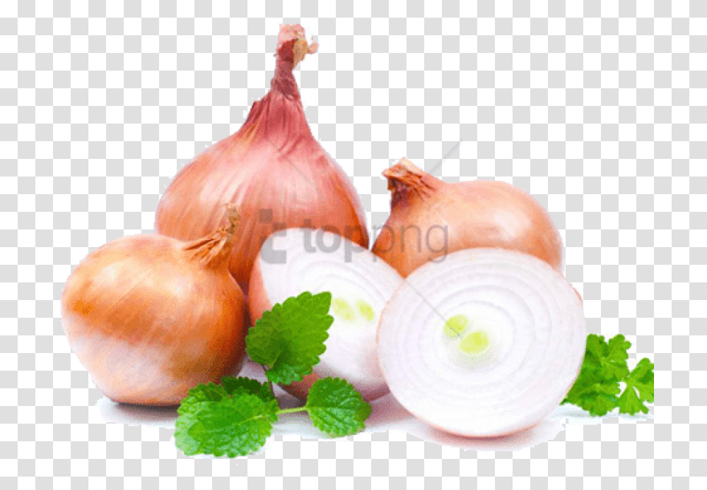 Free Onion Change Eye Color Images Onions And Garlic, Plant, Potted Plant, Vase, Jar Transparent Png