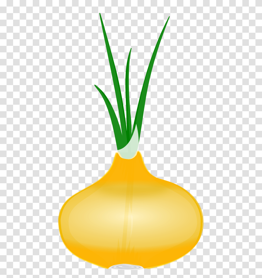 Free Onion Clip Art, Plant, Vegetable, Food, Produce Transparent Png