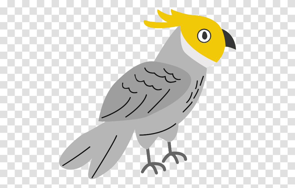 Free Online Bird Animal Icon Sign Pet Birds, Cockatoo, Parrot, Beak, Owl Transparent Png