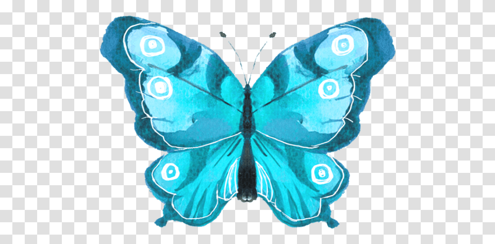 Free Online Butterfly Butterflies Watercolor Decoration Lycaenid, Ornament, Pattern, Animal, Insect Transparent Png