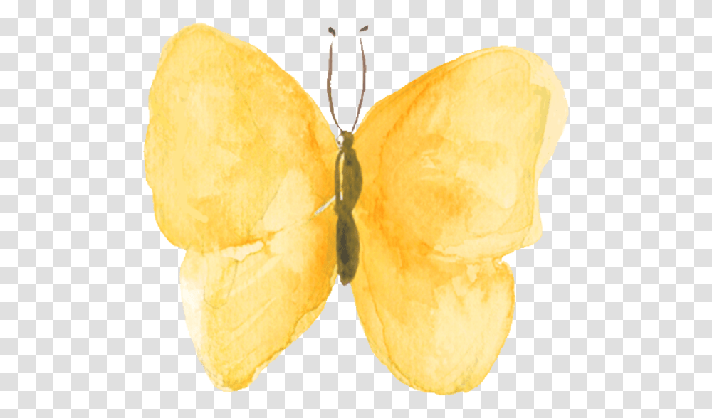Free Online Butterfly Butterflies Watercolor Decoration, Plant, Fruit, Food, Produce Transparent Png