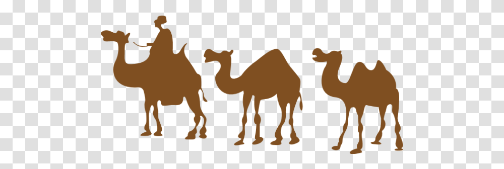 Free Online Camel Hump Animal Animals Vector For Camel Drawing, Mammal Transparent Png