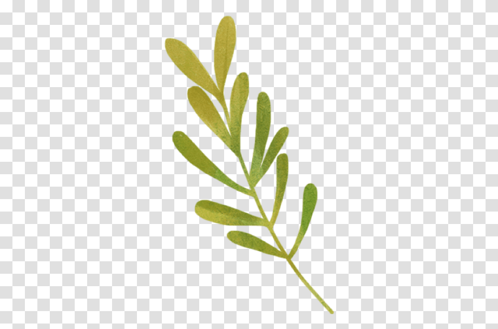 Free Online Leaves Love Plant Watercolor Vector For Green Watercolor Stickers, Leaf, Vase, Jar, Pottery Transparent Png