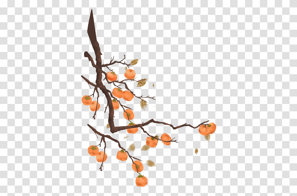 Free Online Persimmon Tree Plant Vector For Persimmon Tree Vector, Produce, Food, Fruit, Grain Transparent Png