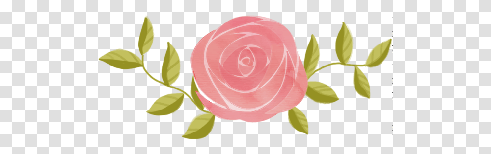 Free Online Rose Flower Roses Flowers Vector For Garden Roses, Pork, Food Transparent Png