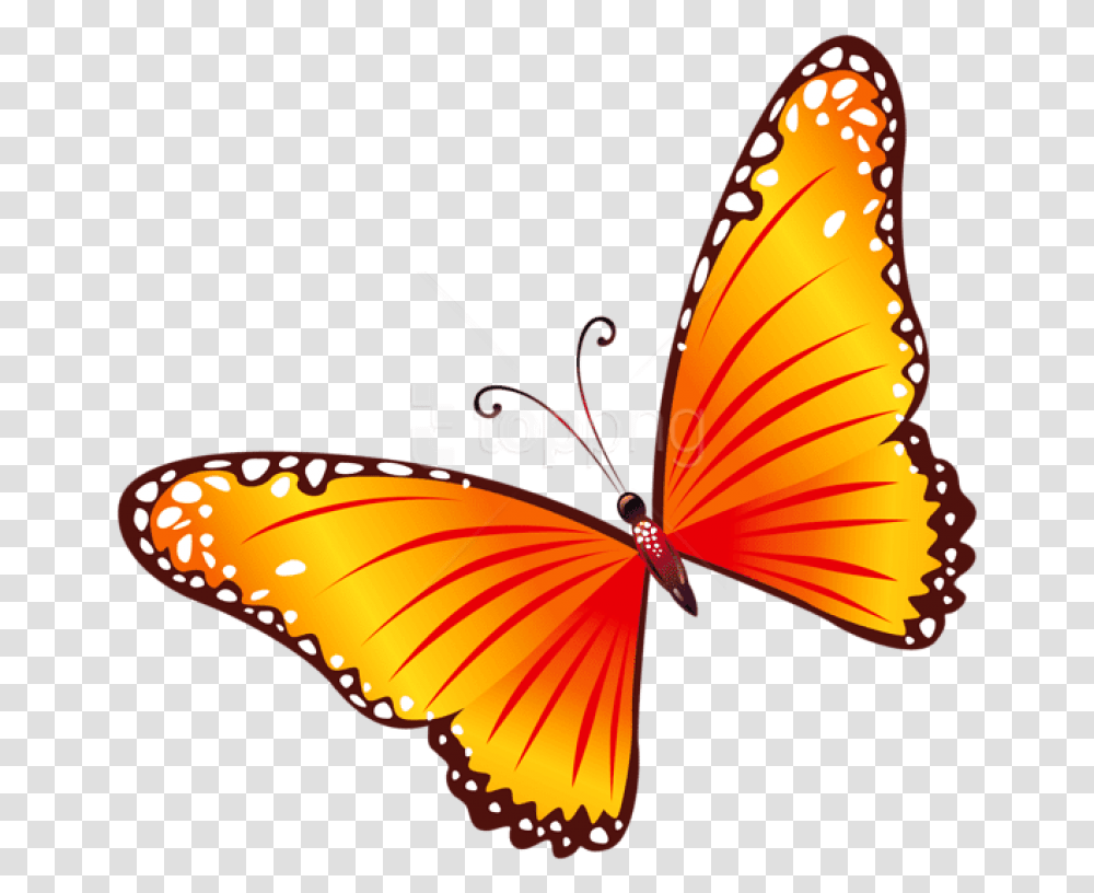 Free Orange Butterfly Clipart Butterfly Clipart, Insect, Invertebrate, Animal, Monarch Transparent Png