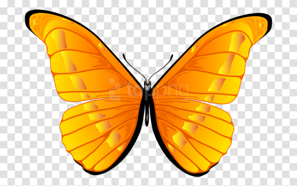 Free Orange Butterfly Clipart Photo Butterfly Clip Art, Insect, Invertebrate, Animal, Sunglasses Transparent Png