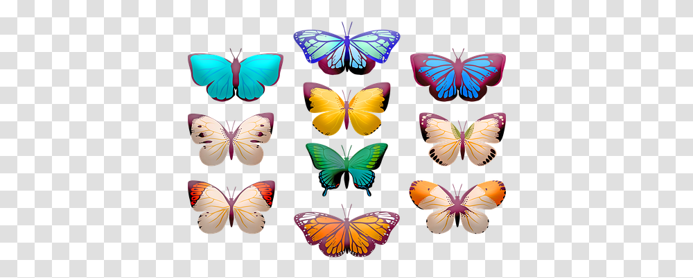 Free Orange Butterfly & Images Pixabay Clip Art Butterfly, Insect, Invertebrate, Animal, Monarch Transparent Png