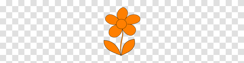 Free Orange Clipart Orange Icons, Floral Design, Pattern, Plant Transparent Png