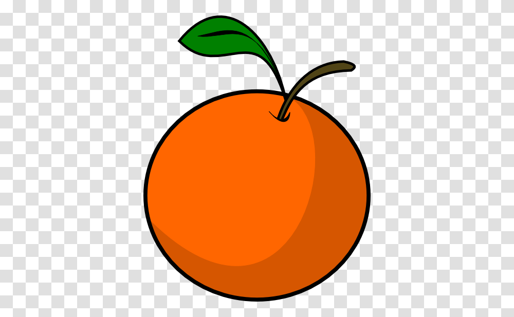 Free Orange Cliparts, Plant, Apricot, Fruit, Produce Transparent Png