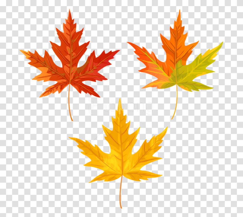 Free Orange Fall Leaves Clipart Photo Clip Art Fall Leaves, Leaf, Plant, Tree, Maple Transparent Png