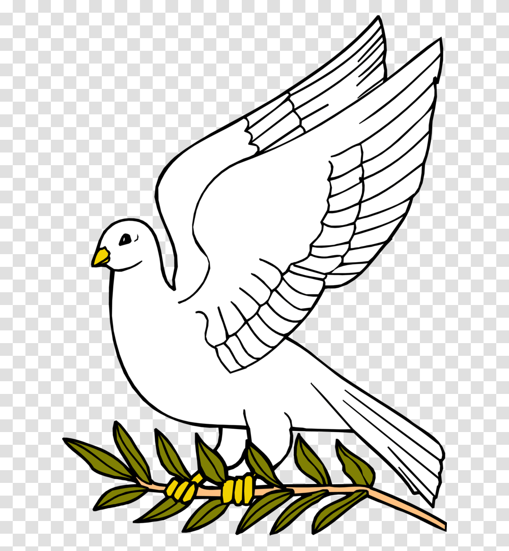 Free Outline Of Download Clip Art On Dove Dove With Olive Leaf, Animal, Bird, Snake, Reptile Transparent Png