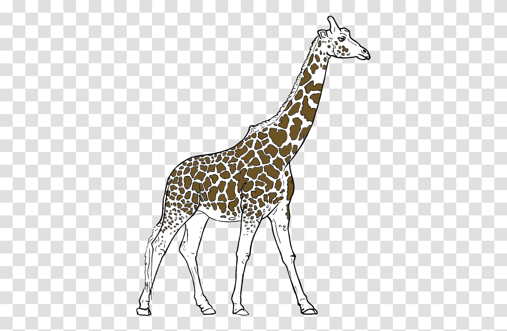 Free Outlines Of Animals Download Outline Wild Animal Sketch, Giraffe, Wildlife, Mammal Transparent Png