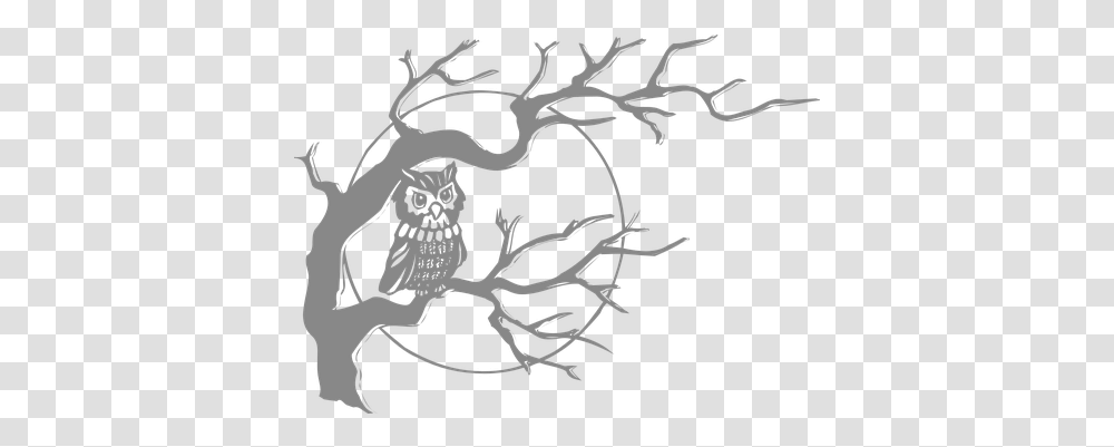 Free Owl Bird Vectors Tree With An Owl, Stencil, Text, Label, Antler Transparent Png