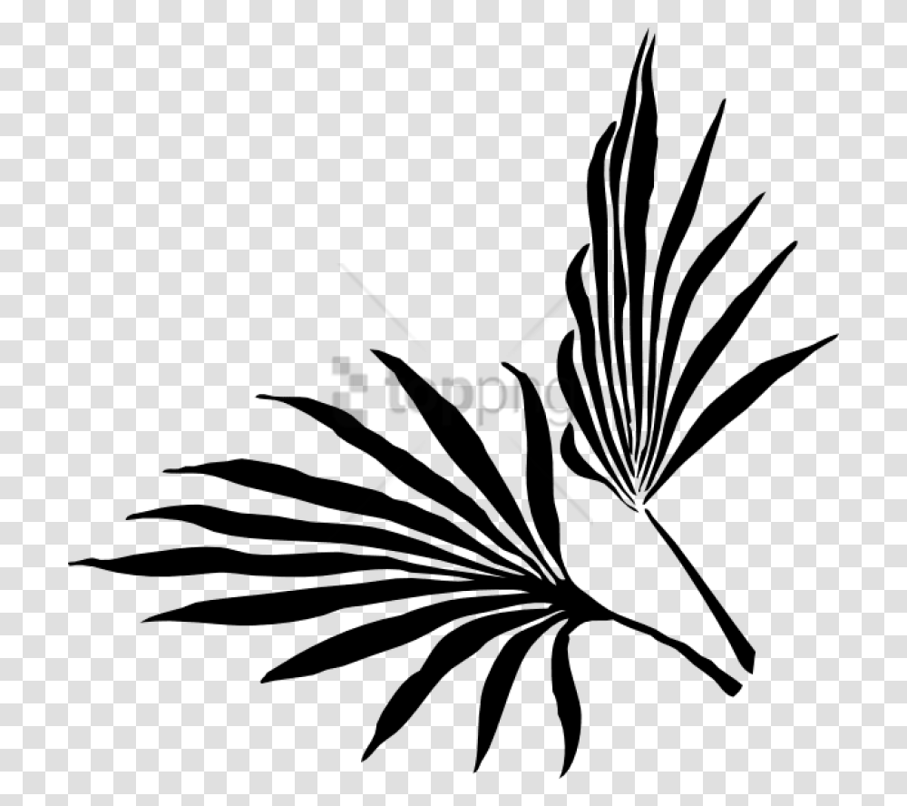 Free Palm Leaf Silhouette Vector Images Tropical Leaf Clipart Black And White, Stencil, Plant, Floral Design, Pattern Transparent Png