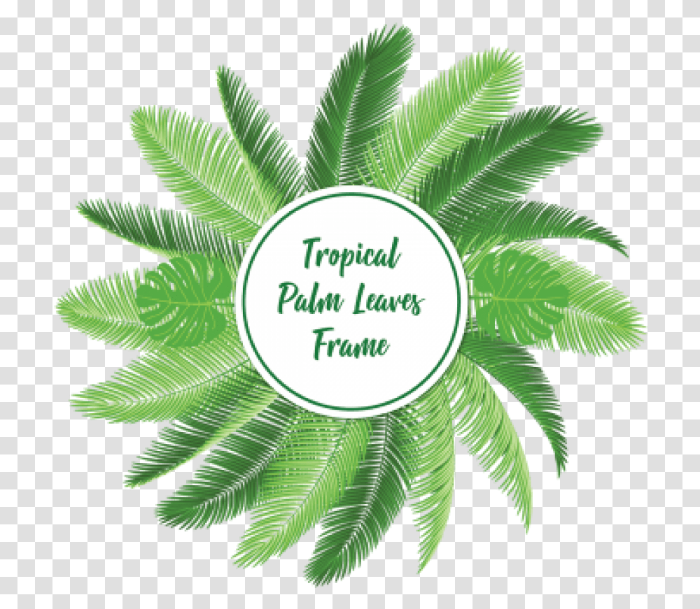 Free Palm Leaf Vector Images Background Vector Leaf Background, Green, Plant, Vegetation, Weed Transparent Png
