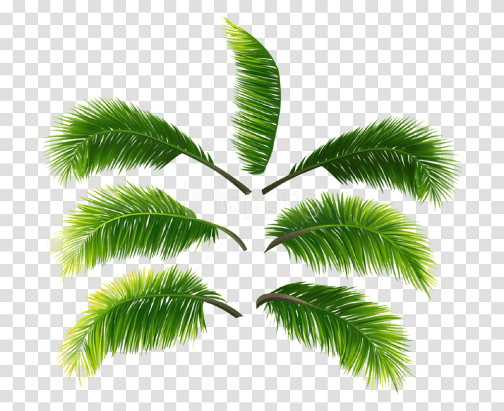 Free Palm Leaves Clipart Photo Palm Leaves Free, Green, Vegetation, Plant, Leaf Transparent Png