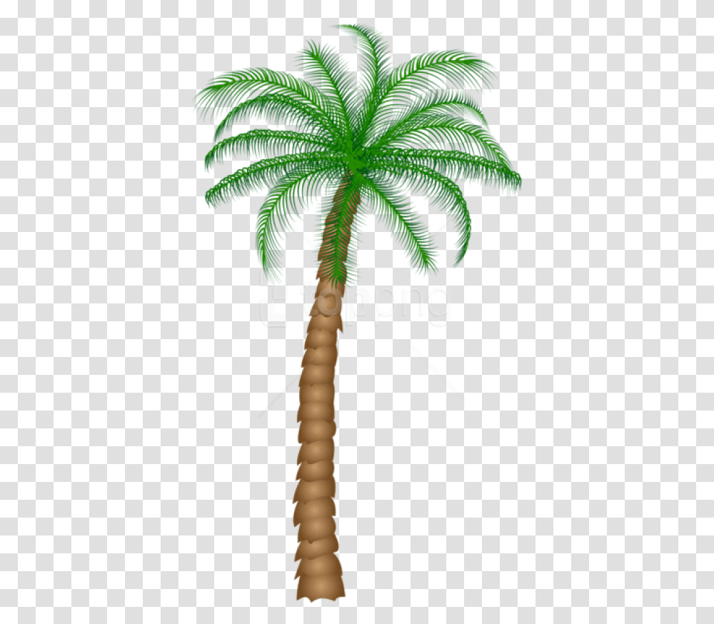 Free Palm Tree Images Background Clipart Palm Tree, Plant, Arecaceae, Bird, Animal Transparent Png