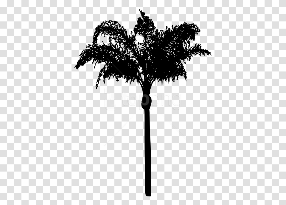 Free Palm Tree Palm Tree Leaves Silhouette, Plant, Arecaceae, Tree Trunk, Stencil Transparent Png