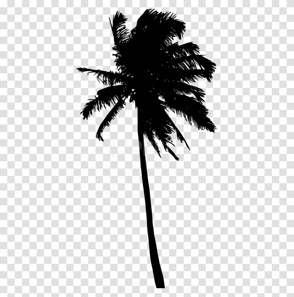 Free Palm Tree Silhouette Palm Tree Black Background Free, Plant, Bow, Arecaceae, Person Transparent Png