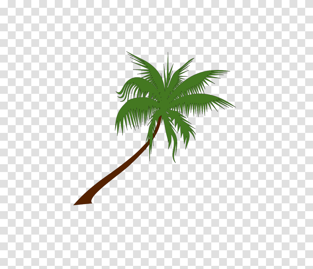 Free Palm Tree Vector Free Download On Heypik, Plant, Arecaceae, Vegetation, Leaf Transparent Png