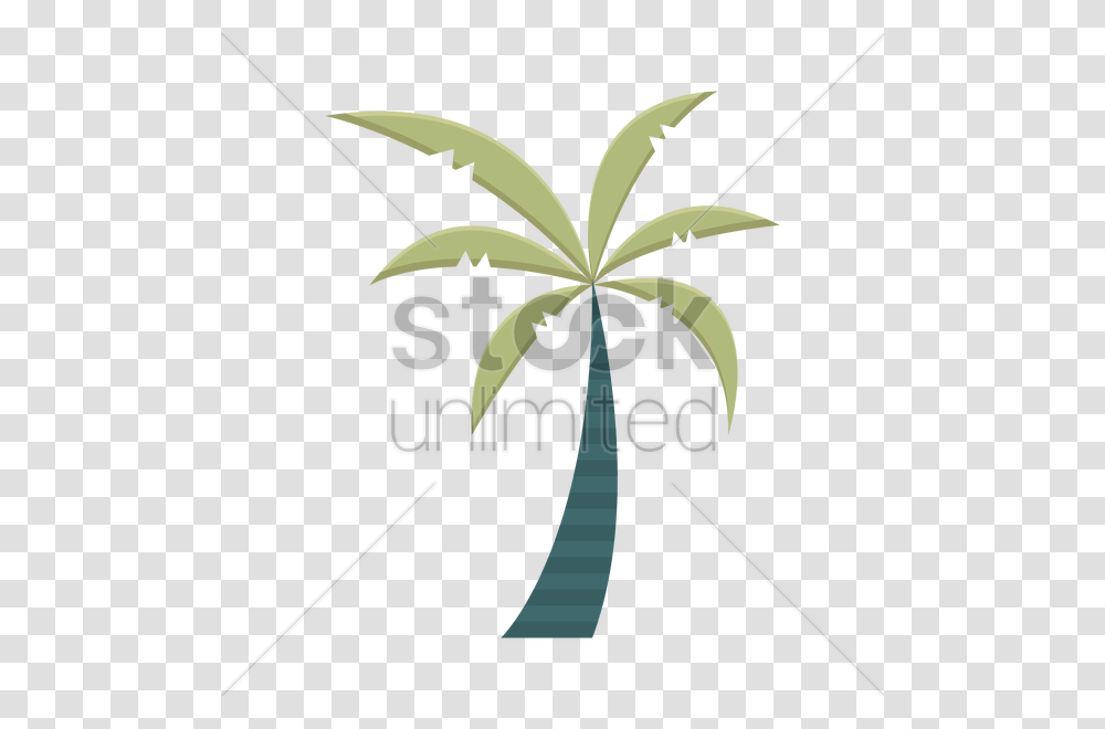 Free Palm Tree Vector Image, Plant, Flower, Blossom, Arecaceae Transparent Png