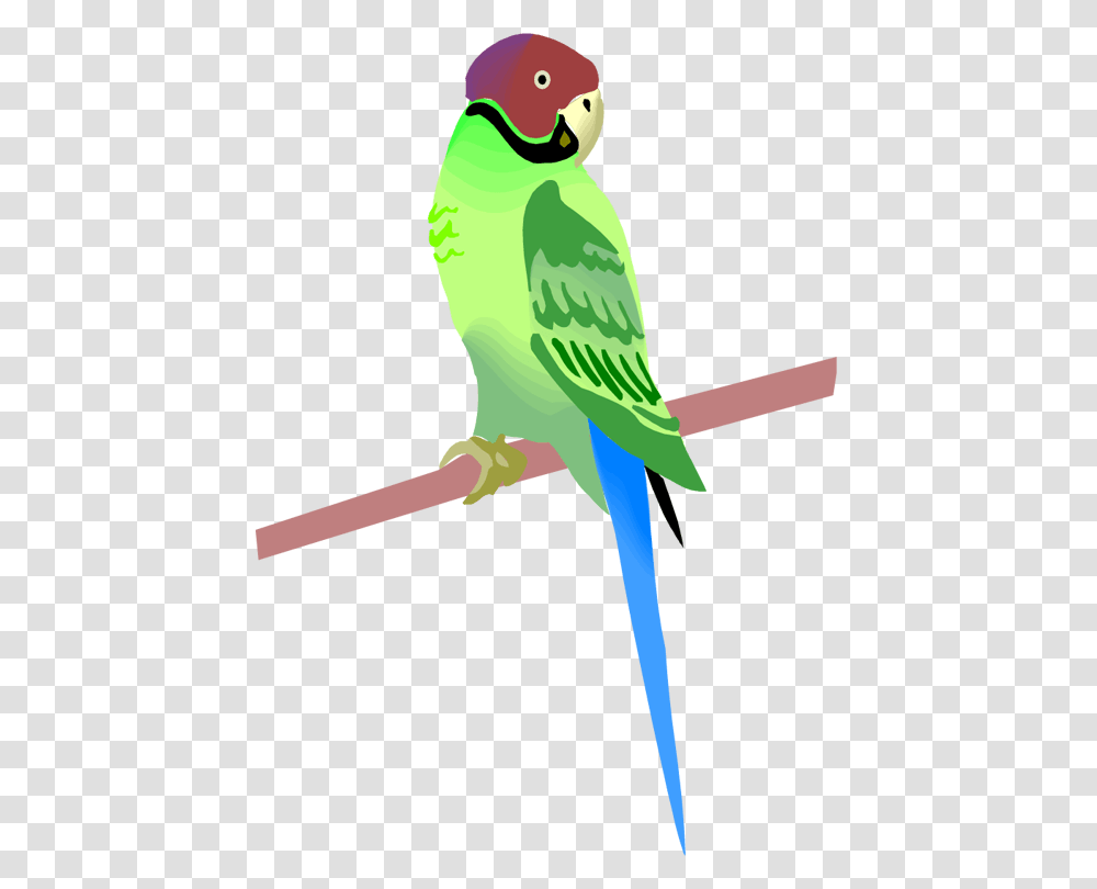 Free Parrot And Macaw Clipart Clip Art, Bird, Animal, Parakeet Transparent Png