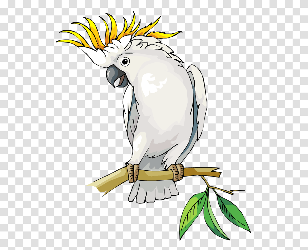Free Parrot And Macaw Clipart Cockatoo Clipart, Bird, Animal Transparent Png
