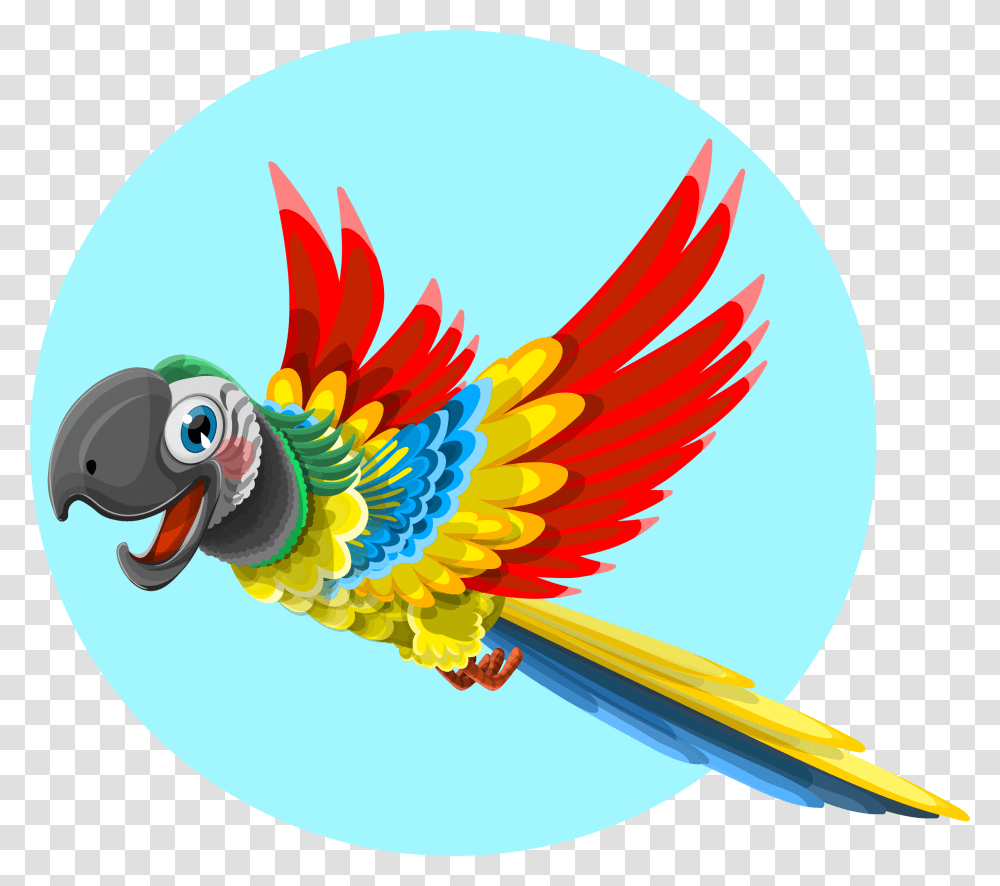 Free Parrot Bird Images Flying Cartoon Parrot Drawing, Animal, Graphics, Logo, Bluebird Transparent Png