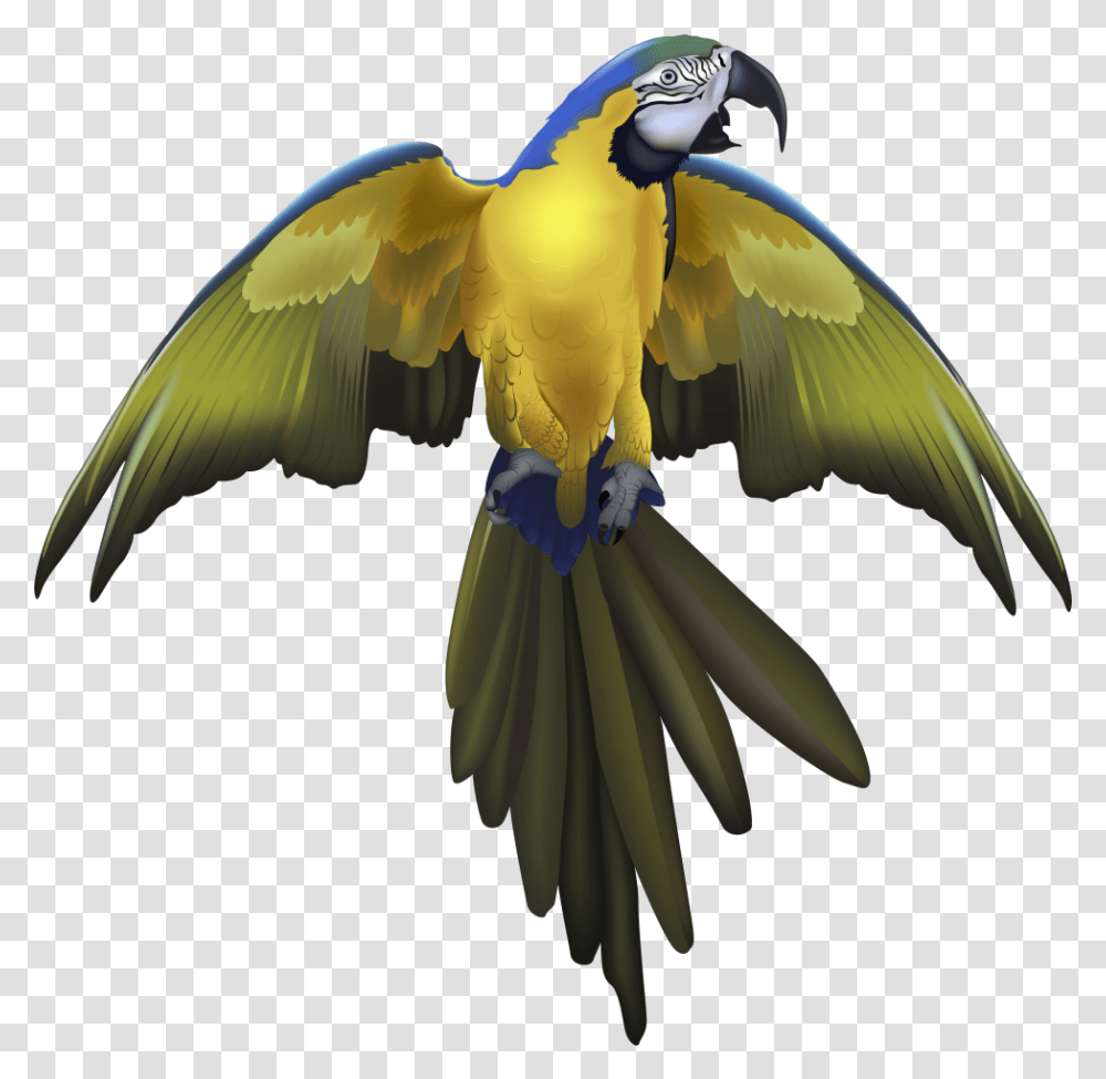 Free Parrot Konfest, Macaw, Bird, Animal, Bee Eater Transparent Png