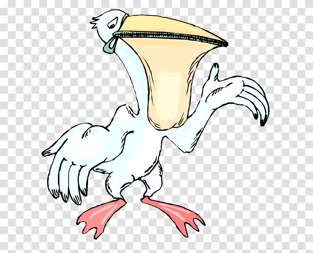 Free Pelican Clipart, Bird, Animal, Vulture, Dodo Transparent Png