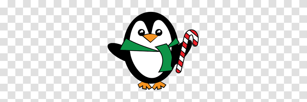 Free Penguin Clip Art, Bird, Animal, Angry Birds Transparent Png