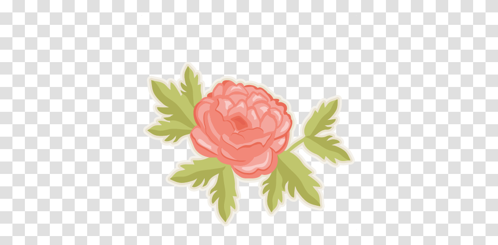 Free Peonies Cliparts Download Clip Art Clip Art Peony Flower, Plant, Blossom, Rose, Carnation Transparent Png