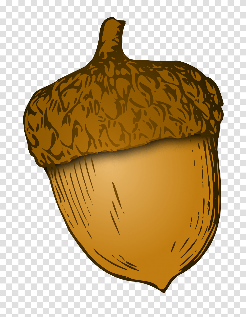 Free Photo Acorn, Plant, Grain, Produce, Vegetable Transparent Png