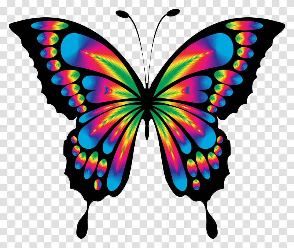 Free Photo Animal Colorful Butterfly Abstract Chromatic Colorful Butterfly Clipart, Pattern, Ornament, Fractal Transparent Png