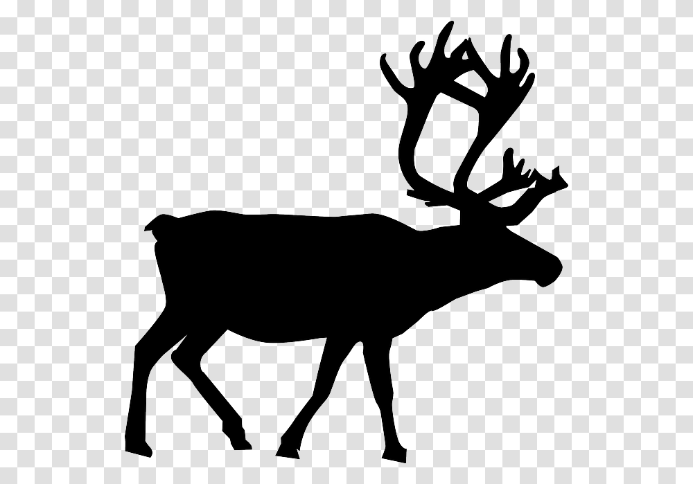 Free Photo Animal Reindeer North Christmas Pole Silhouette, Elk, Wildlife, Mammal, Cow Transparent Png