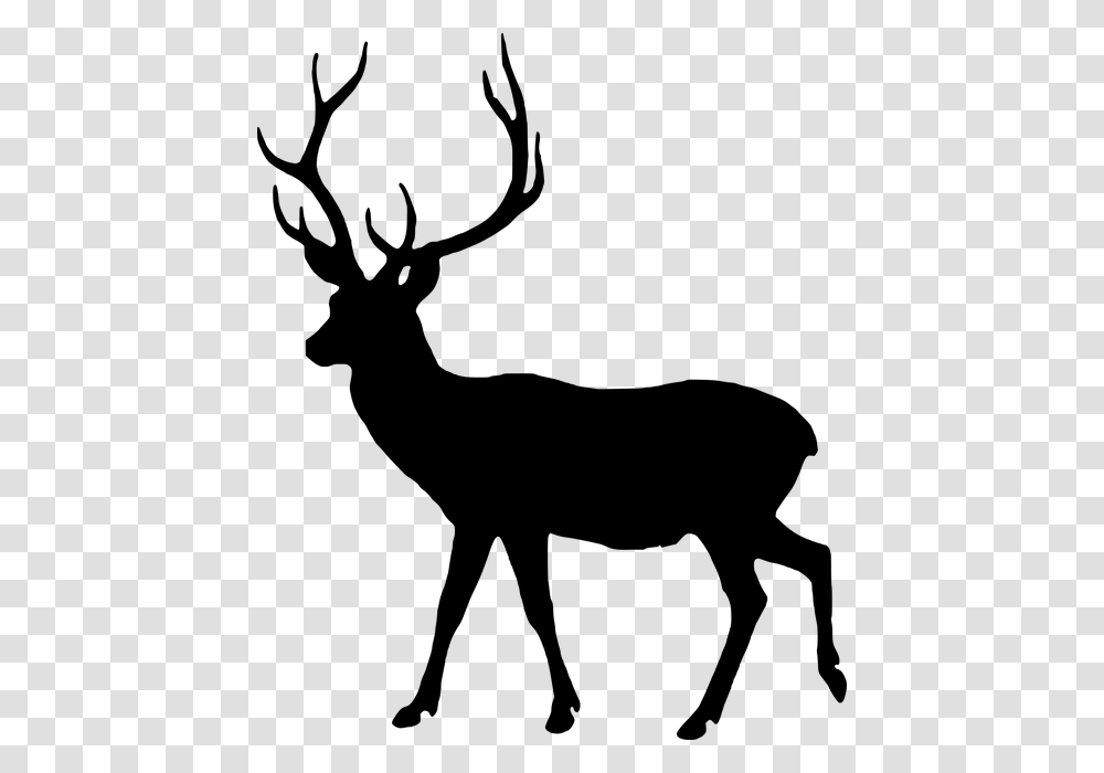 Free Photo Animal Silhouette Fallow Deer Male Wild Dama Dama, Gray, World Of Warcraft Transparent Png
