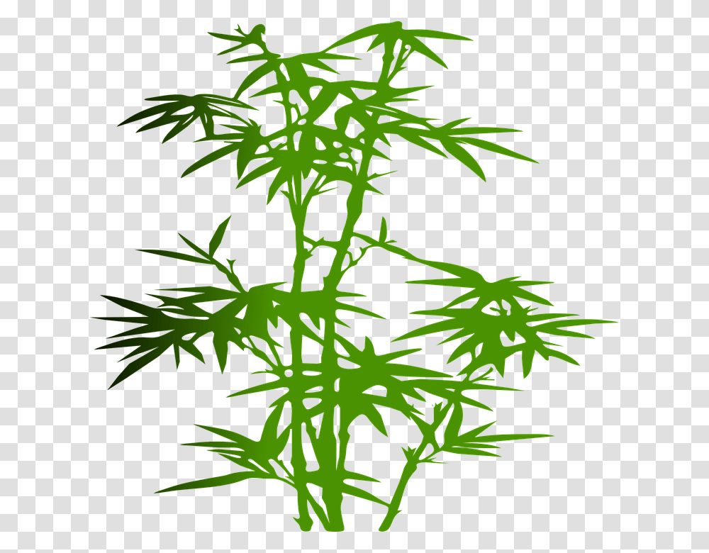 Free Photo Bamboo Plant Green Zen Japanese Tropical Leaves, Weed, Hemp, Flower, Blossom Transparent Png