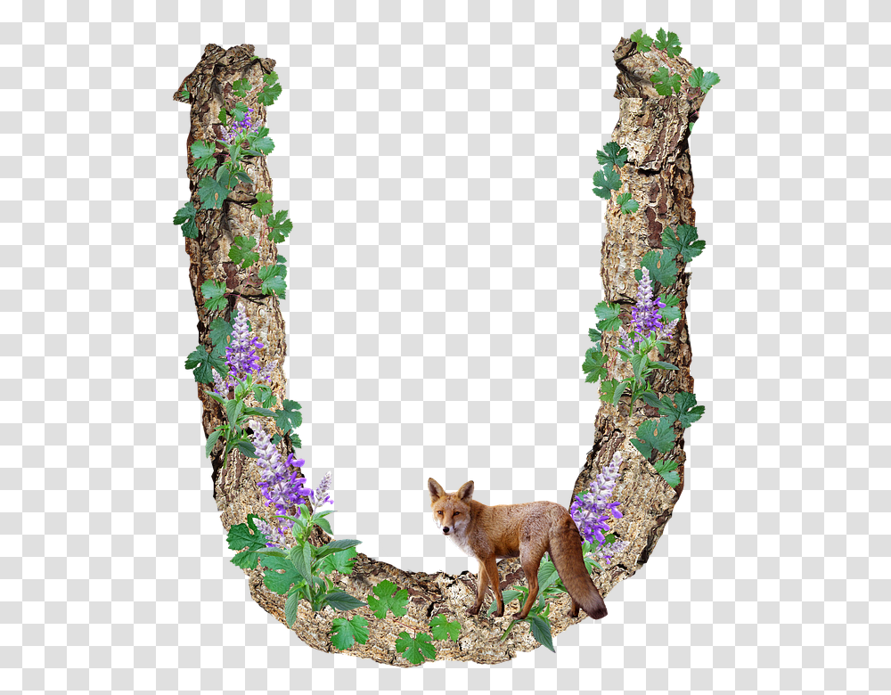 Free Photo Bark Letter Alphabet Timber Rustic U, Mammal, Animal, Canine, Fox Transparent Png