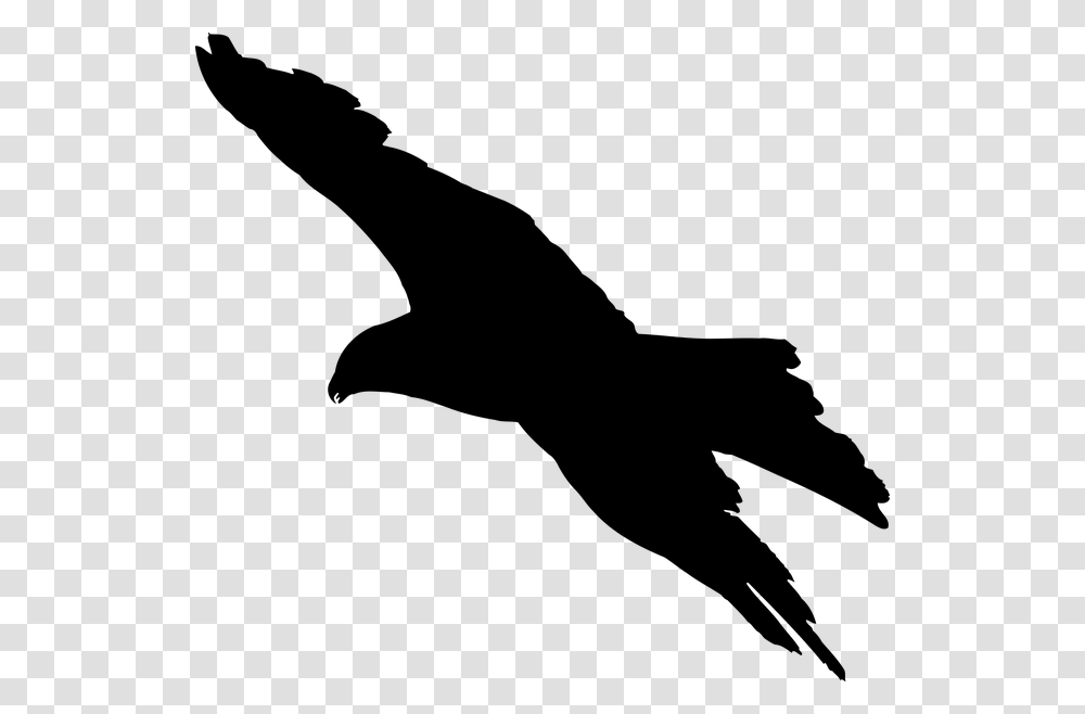 Free Photo Bird Sign Design Animal Silhouette Eagle Symbol, Gray, World Of Warcraft Transparent Png