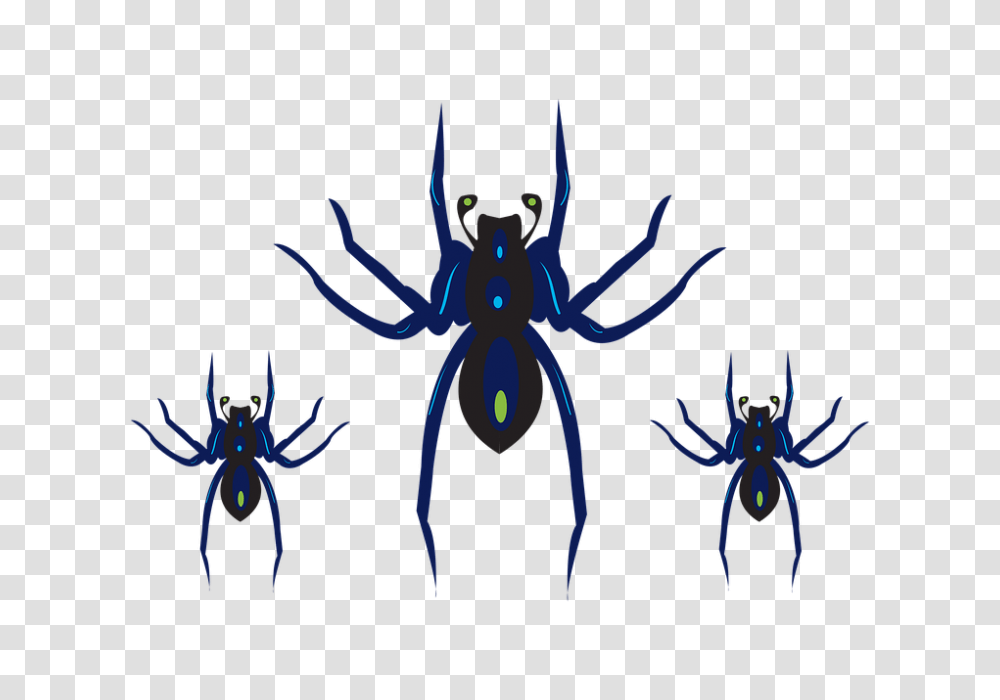 Free Photo Black Horror Halloween Spider Scary Clipart, Invertebrate, Animal, Insect, Arachnid Transparent Png
